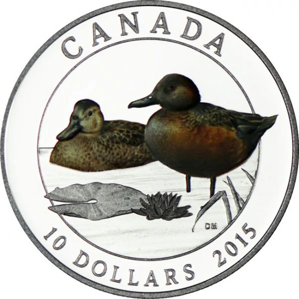 10 dolar Stříbrná mince Kanadské kachny - Čírka skořicová PP