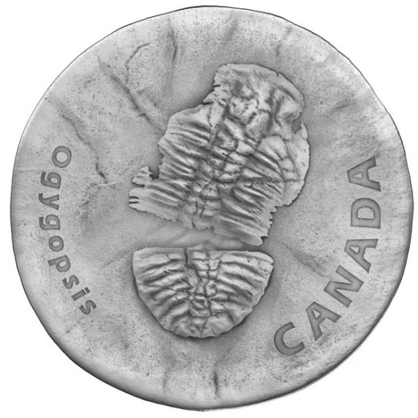 Trilobit Ogygopsis, 1 oz stříbra