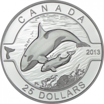 25 dolar Stříbrná mince Kanada - Kosatka dravá PP