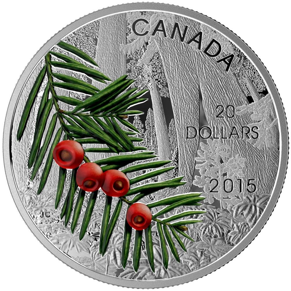 20 dolar Stříbrná mince Kanadské lesy - Tis PP
