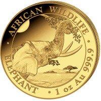 Zlatá mince 1 Oz Slon 2023 Somálsko