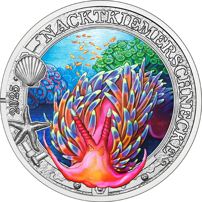 Dorid Nudibranch - mořský plž, CuNi