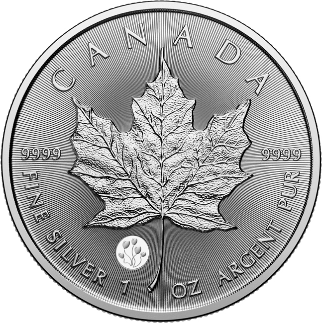 Vzácný Maple Leaf 2026 - Gratulace, stříbrná mince v blistru, 1 oz