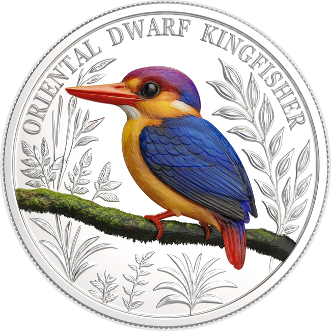 Orientální trpasličí ledňáček 2025, 1 oz stříbra v etuji