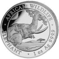 Stříbrná mince Slon Somálský 1 Oz 2023