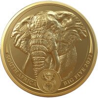 Velká pětka - Slon, 1 oz zlata, 2022