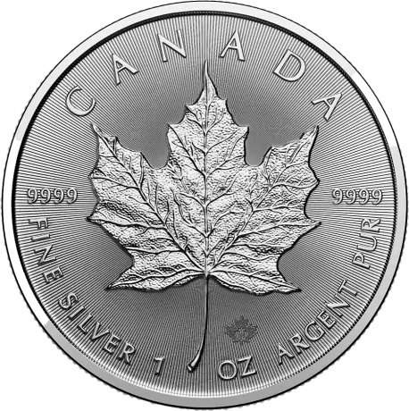 Stříbrná mince Maple Leaf 2024, 1 oz