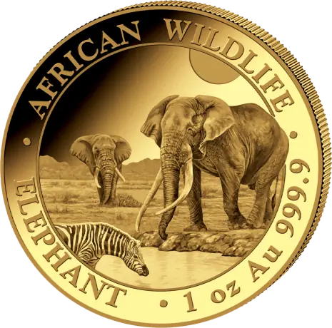Zlatá mince Slon Somálský 2026, 1 oz
