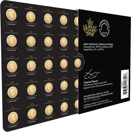 Zlatá mince Maple Leaf 2026&nbsp;(Maplegram), 25x1&nbsp;g 
